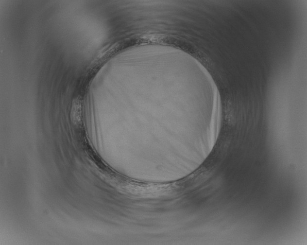 X0000076300036200610201558