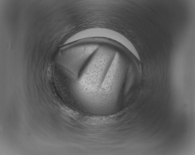 X0000076300037200610201558