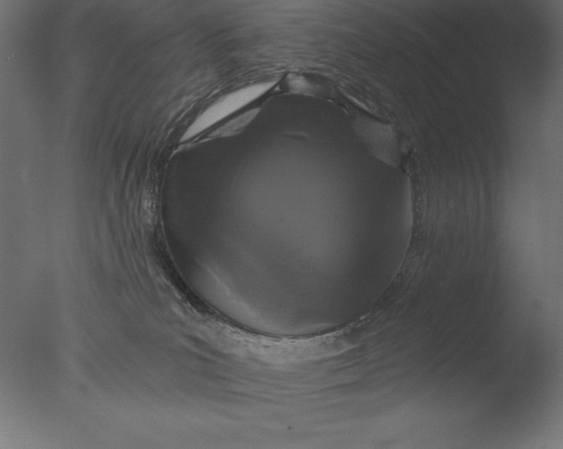 X0000076300039200610201558