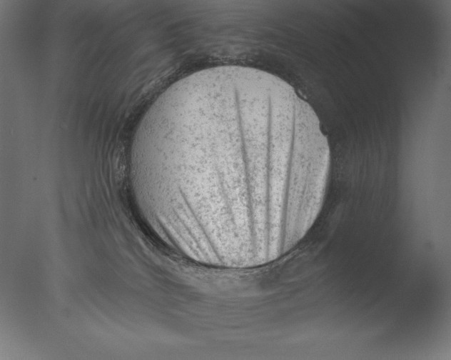 X0000076300040200610201558