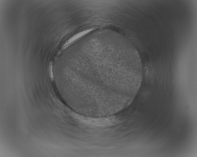 X0000076300042200610201558