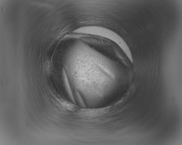 X0000076300045200610201558