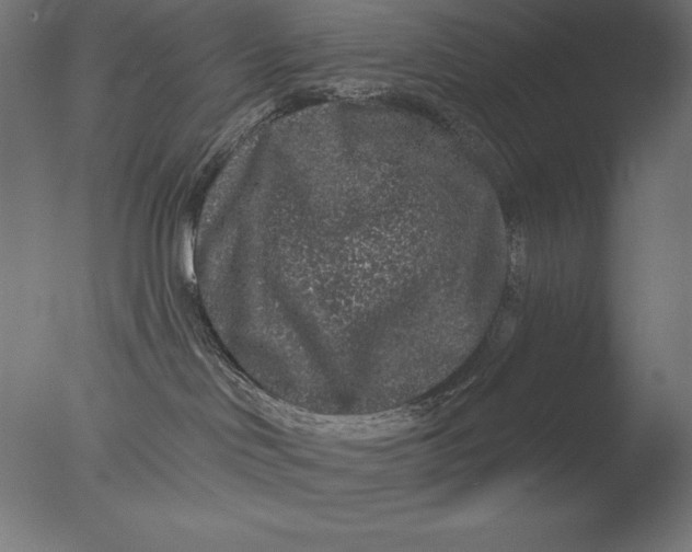 X0000076300046200610201558