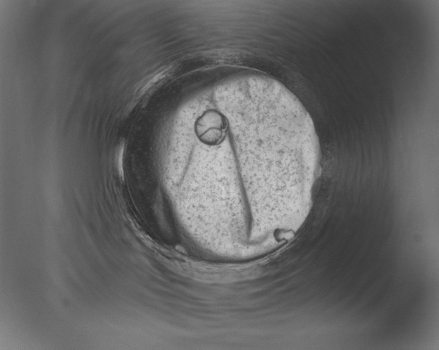 X0000076300047200610201558