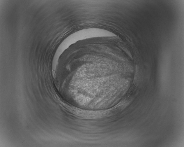 X0000076300048200610201558