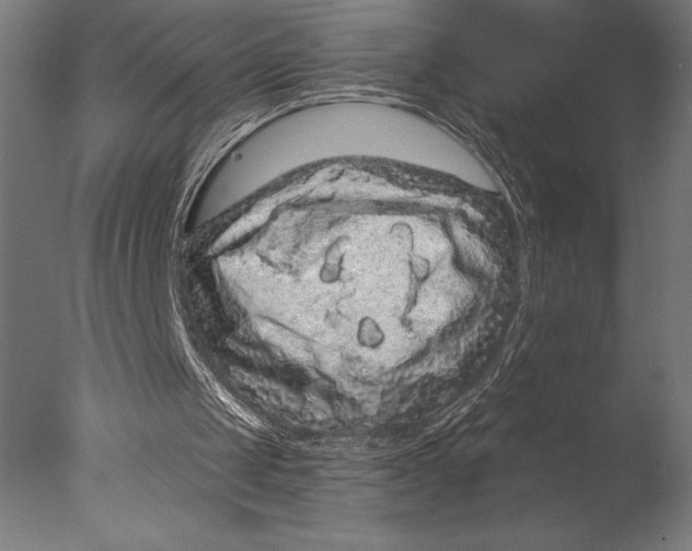 X0000076300049200610201557