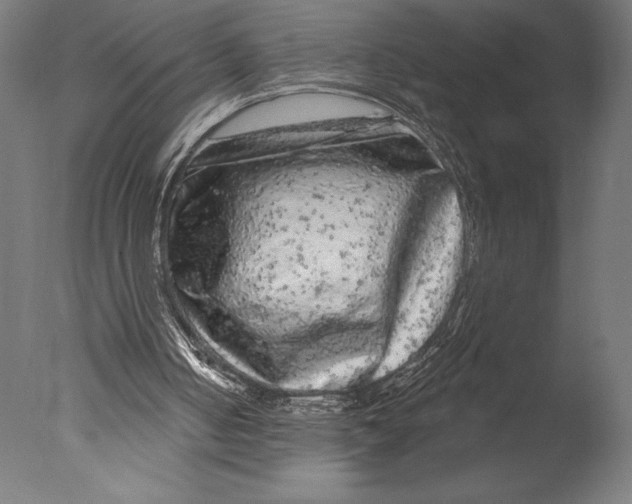 X0000076300050200610201557