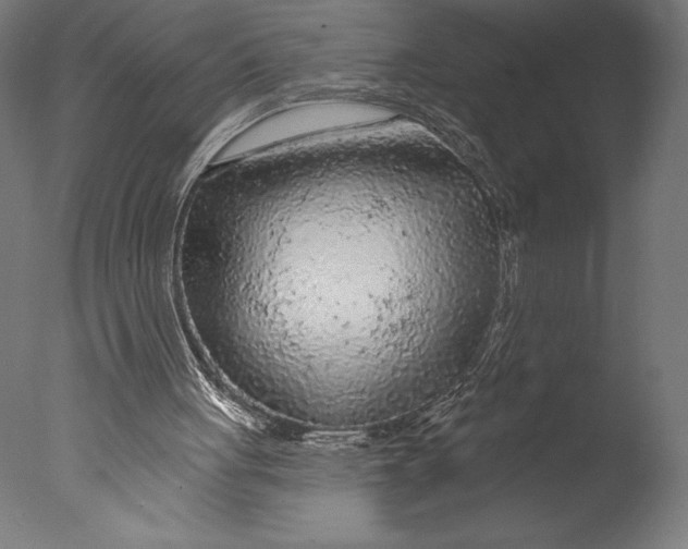 X0000076300051200610201557