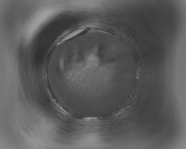 X0000076300052200610201557