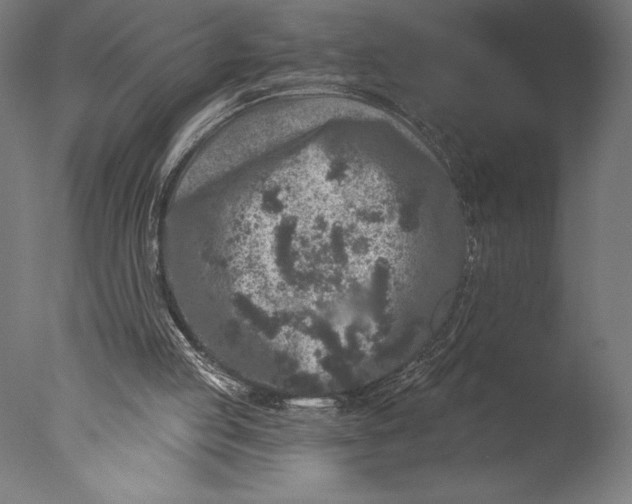 X0000076300053200610201557