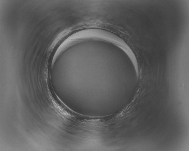 X0000076300054200610201557