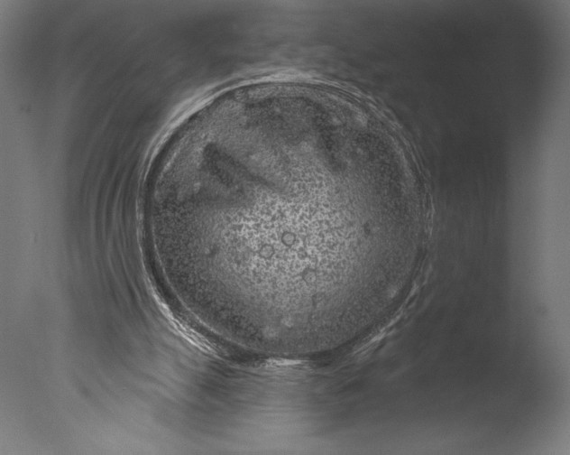 X0000076300055200610201557