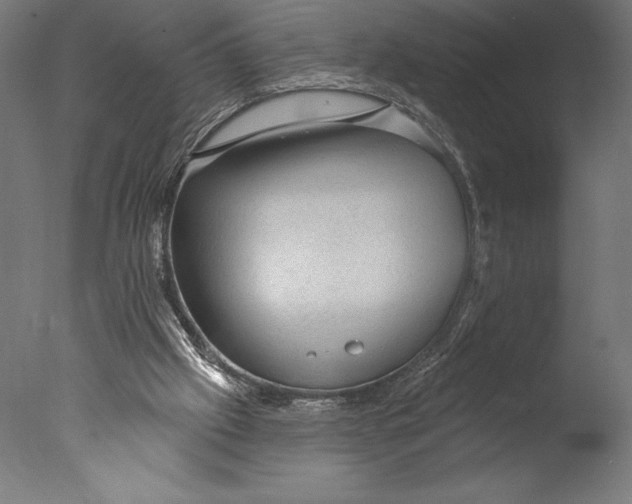 X0000076300057200610201557