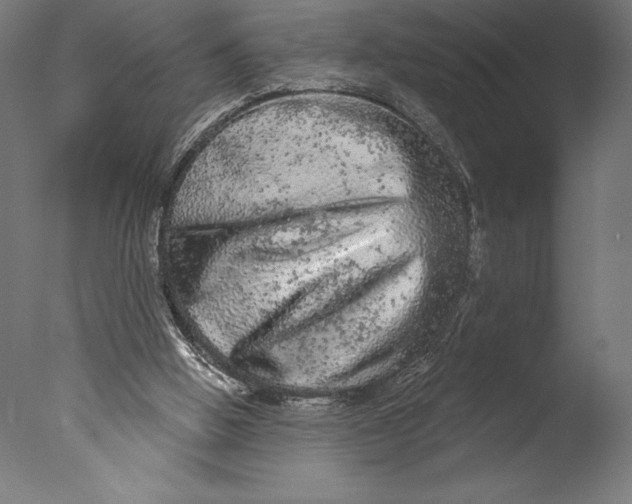 X0000076300058200610201557