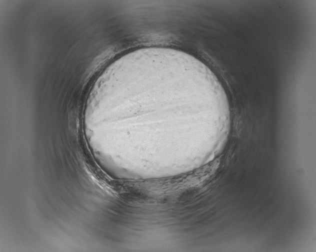 X0000076300059200610201557