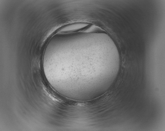 X0000076300060200610201557