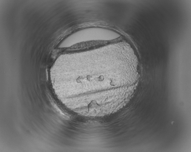 X0000076300061200610201557