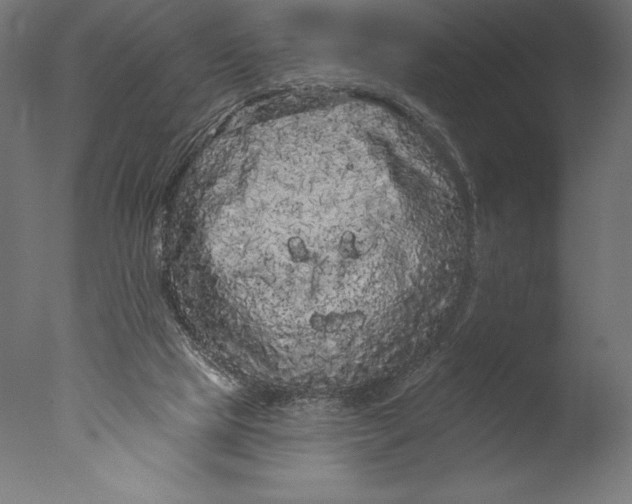 X0000076300065200610201557