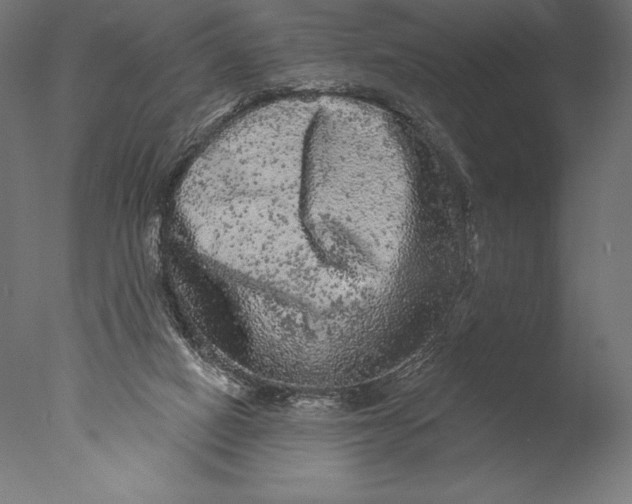 X0000076300066200610201557