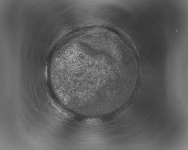 X0000076300067200610201557