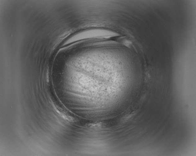 X0000076300068200610201557