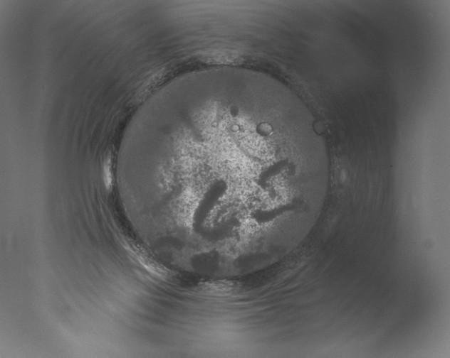 X0000076300069200610201557