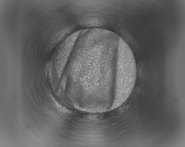 X0000076300070200610201557