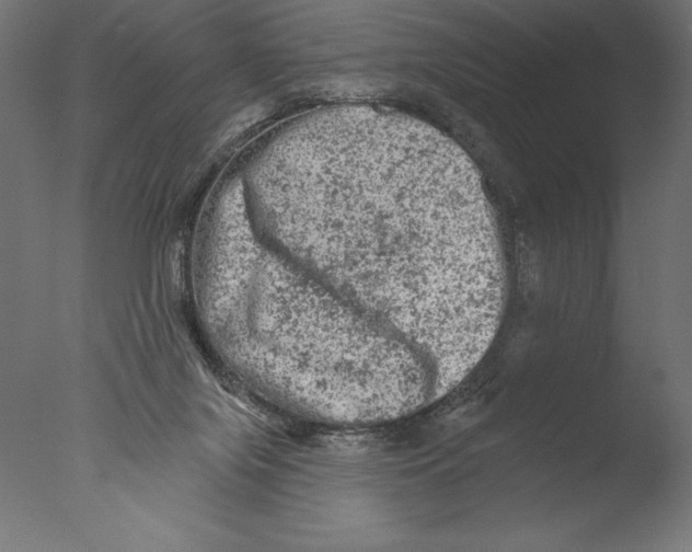 X0000076300071200610201557