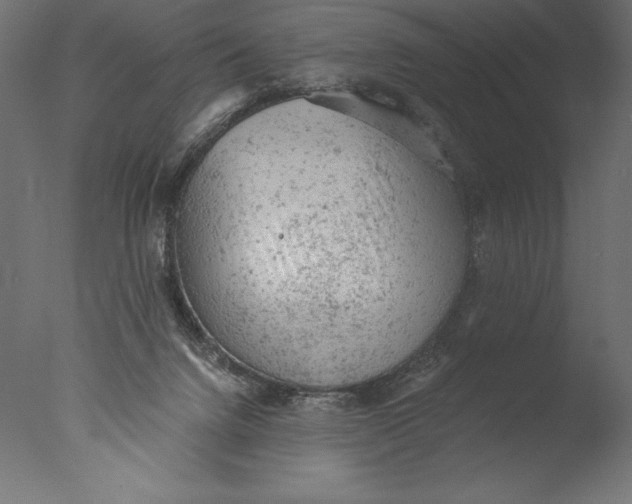 X0000076300072200610201557