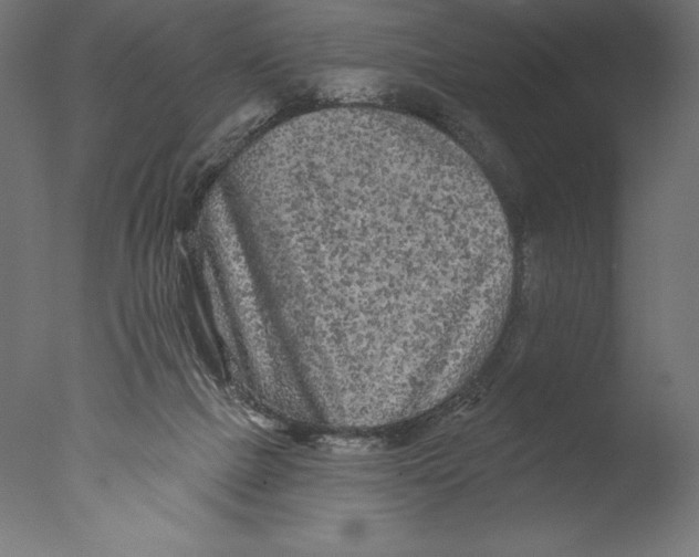 X0000076300073200610201557