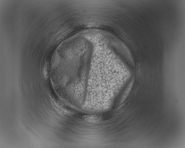 X0000076300074200610201557