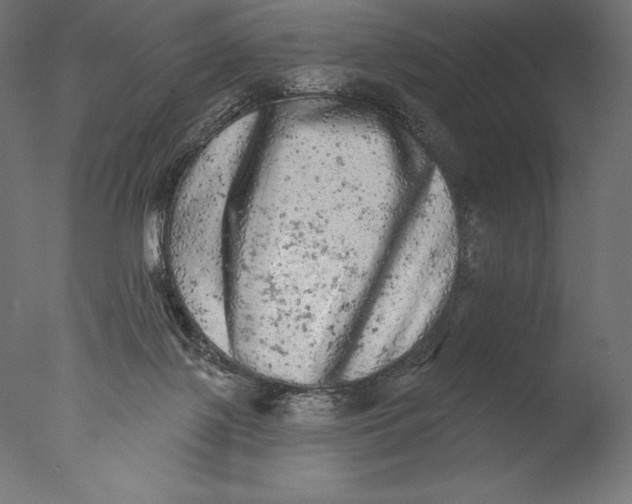 X0000076300075200610201557