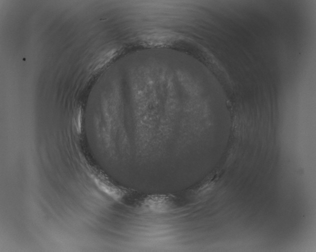 X0000076300076200610201557