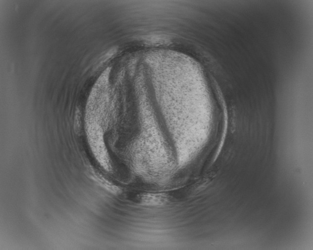 X0000076300077200610201557