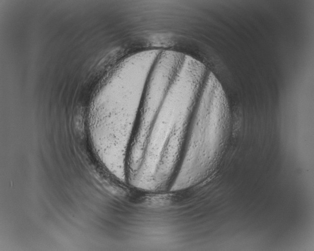 X0000076300078200610201557