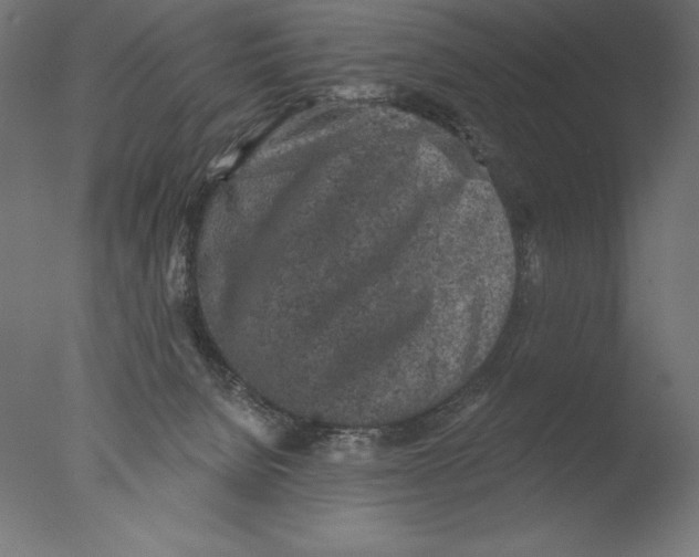 X0000076300080200610201557