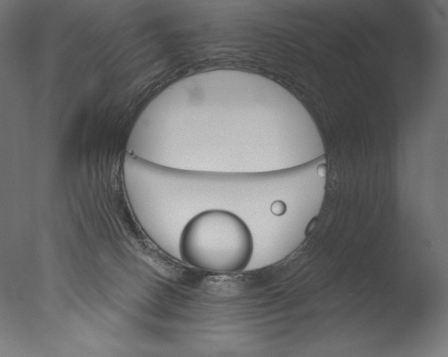 X0000076300082200610201557