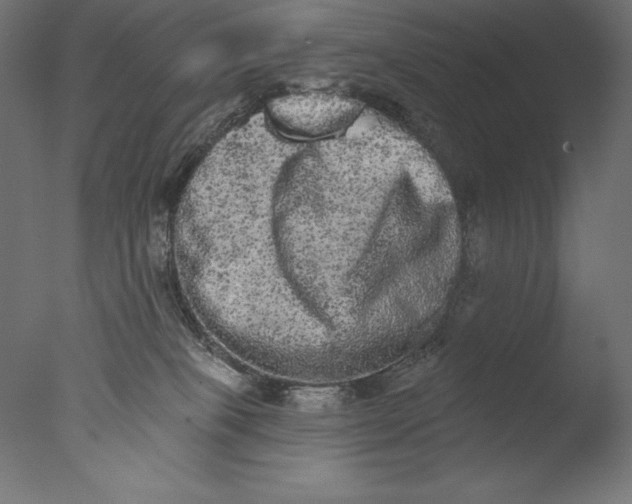 X0000076300085200610201557