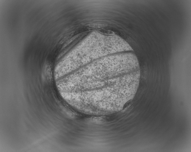 X0000076300086200610201558