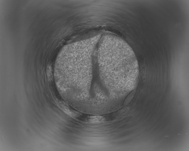 X0000076300087200610201558