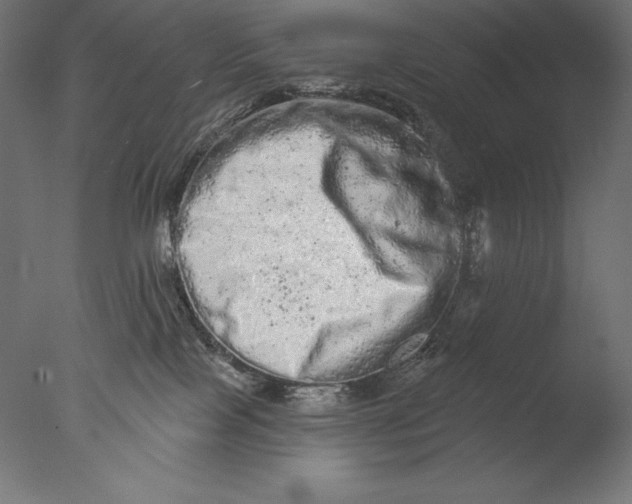 X0000076300089200610201558