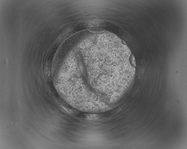 X0000076300091200610201558