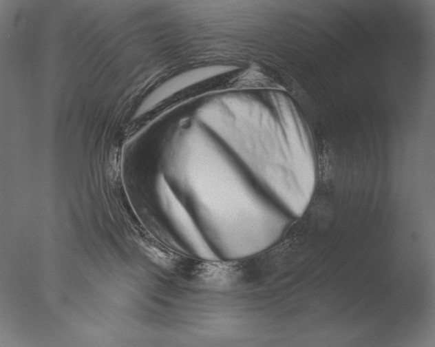 X0000076300093200610201558