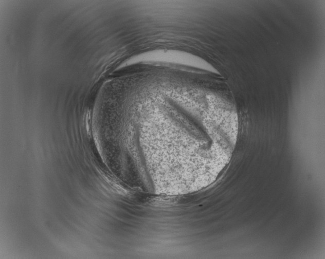 X0000076300094200610201558