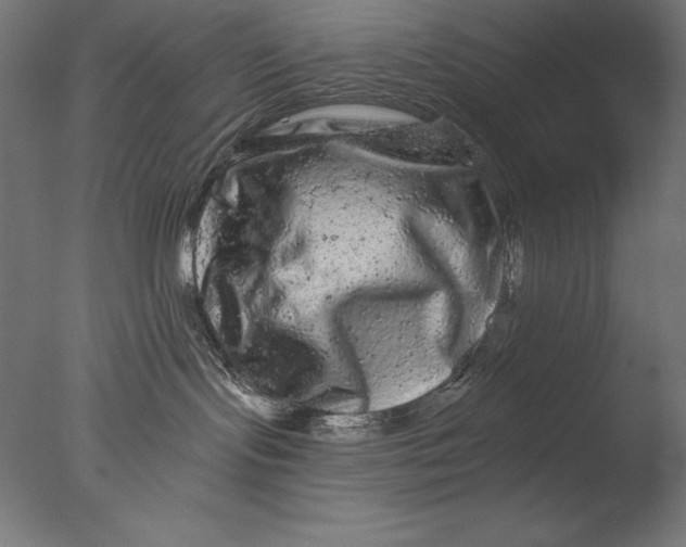 X0000076300095200610201558