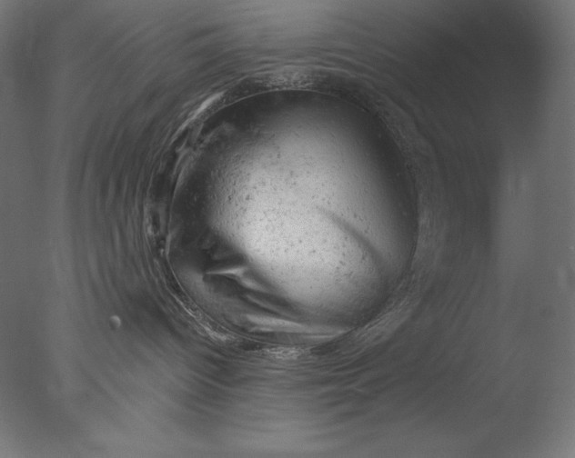 X0000076300096200610201558