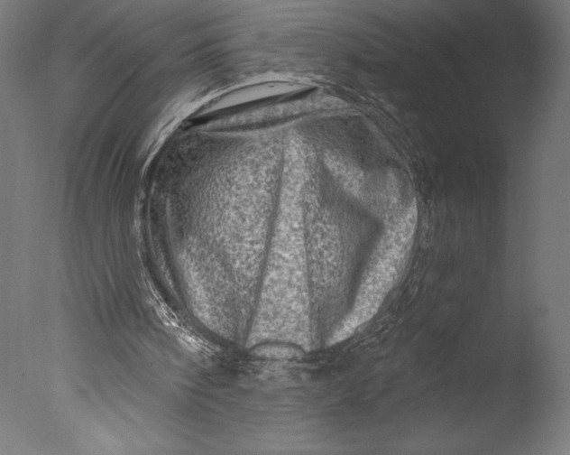 X0000076300098200610201557