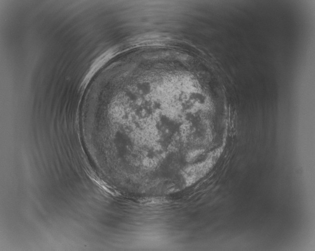 X0000076300099200610201557