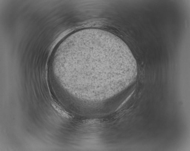 X0000076300100200610201557