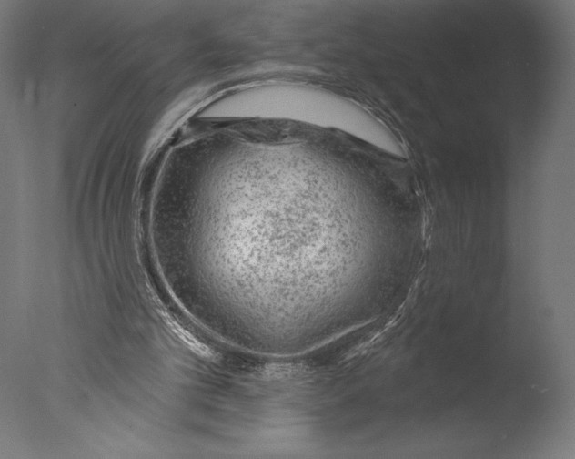 X0000076300101200610201557